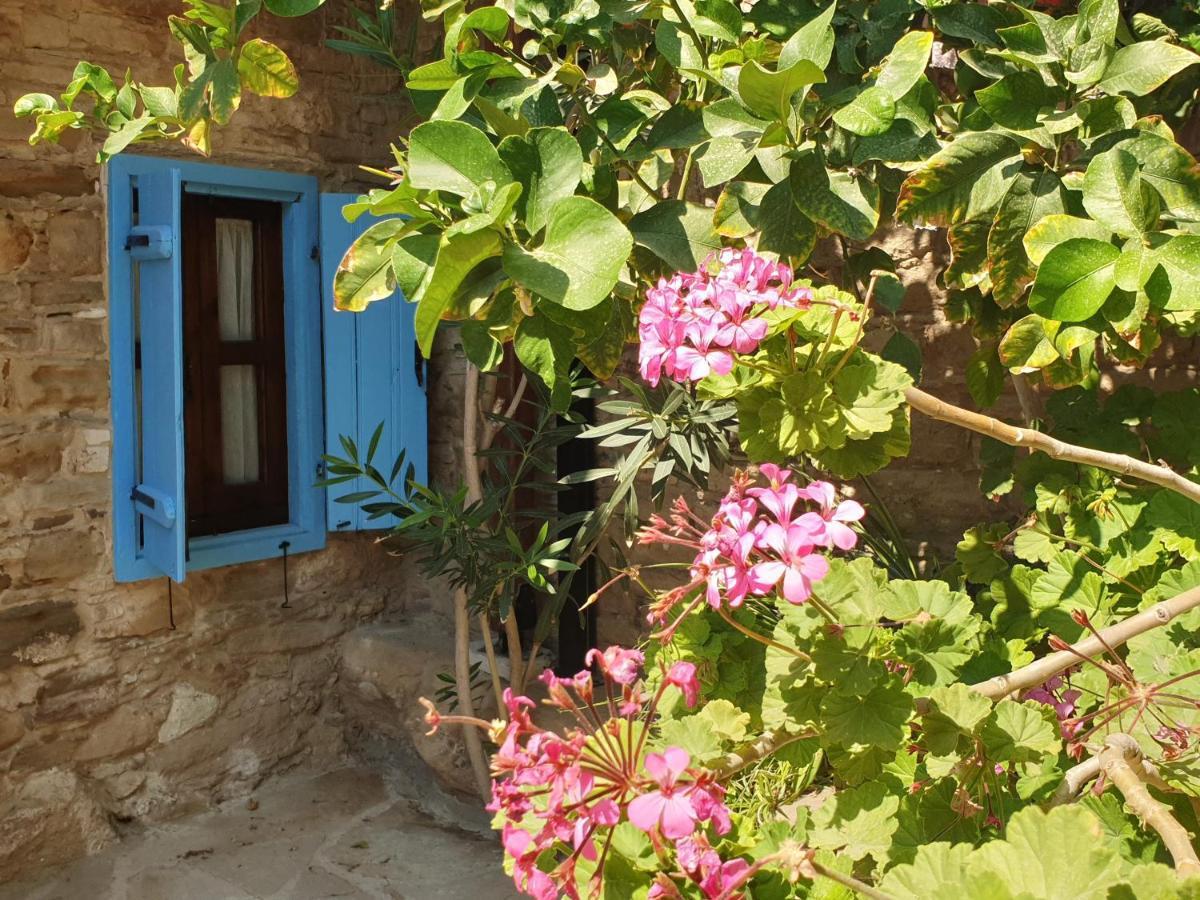 Vasilopoulos House Tokni Esterno foto